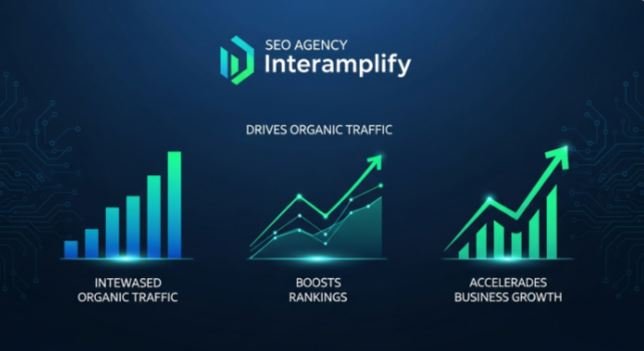 seo agency interamplify